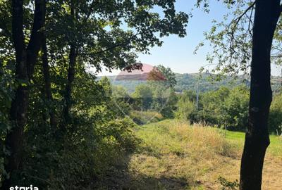 Teren de 1350 mp, în Cernești