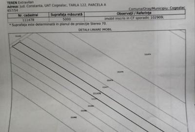 Teren agricol extravilan de 5000 mp, în Cogealac - 3
