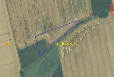 Teren agricol extravilan de 26900 mp, în Jebel - 1