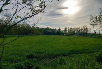 Teren de 6800 mp, în Tufeni