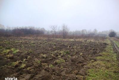 Teren de 2306 mp, în Cocorăștii Mislii - 3