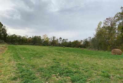Teren de 4990 mp, în Duboz - 1