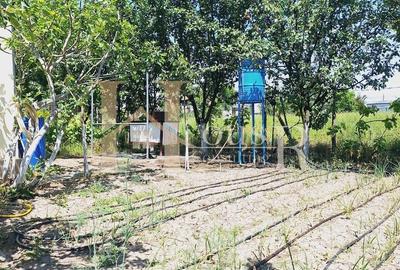 Casă individuală cu 5 camere cu Canalizare în Becicherecu Mic - 33