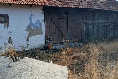 Casă cu Teren 2254 Mp în Bruznic