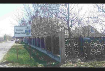 Teren intravilan de 5300 mp, în Teiș - 1