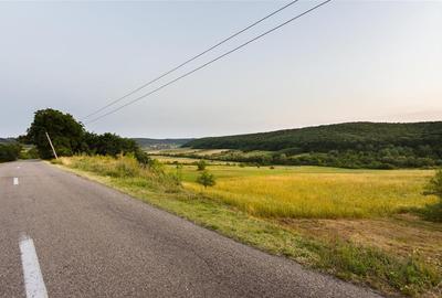 Teren Construcții intravilan de 11500 mp, în Lăzăreni - 3