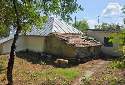 Casă cu 3 camere în Gurbănești