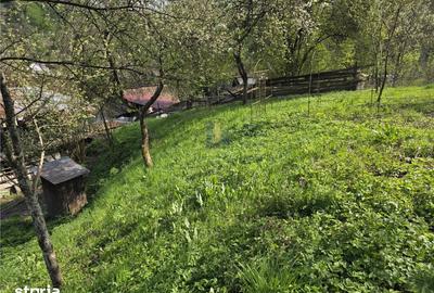 Casă cu 3 camere cu Teren 3748 Mp în Nădrag - 7