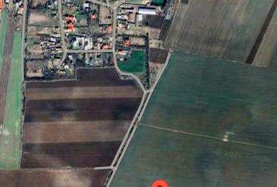 Teren agricol extravilan de 7500 mp, în Ungureni (Butimanu) - 7