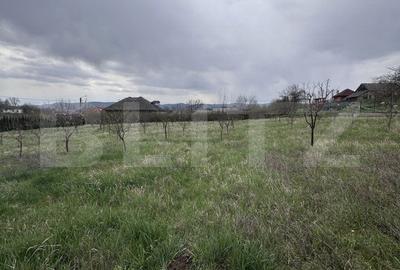 Casă cu 3 camere în Jichișu de Jos - 3