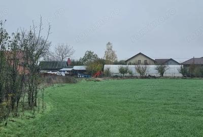 Teren de 750 mp, în Dârvari - 1