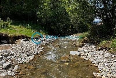 Casă individuală cu 5 camere cu Teren 2908 Mp în Valea Boroș - 54