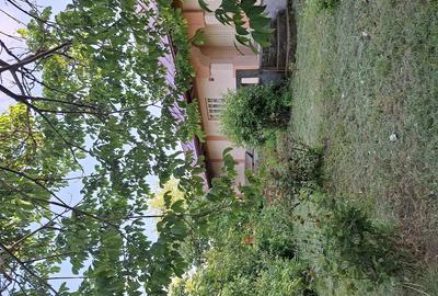 Casă cu 3 camere cu Teren 7220 Mp în Galbeni (Filipești)