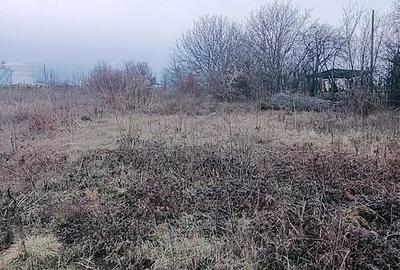 Teren de 2500 mp, în Boldești
