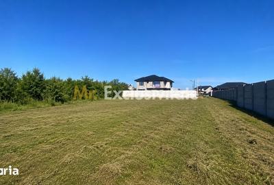 Teren de 530 mp, în Albota