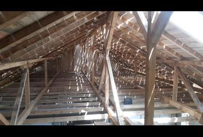 Casă cu 5 camere în Balta Doamnei - 1