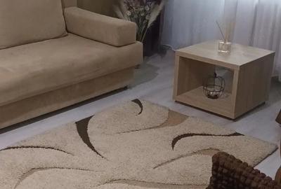 Apartament cu 2 camere semidecomandat în Tătărași - 3