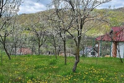 Teren de 1087 mp, în Corbu (Cătina)