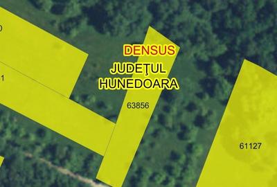 Spațiu comercial, în Central