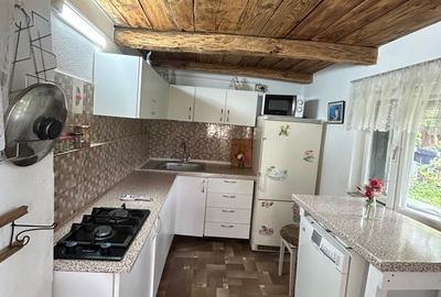 Casă cu 2 camere în Dragu