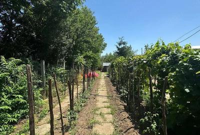 Casă cu Teren 1400 Mp în Central