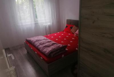 Apartament cu 2 camere decomandat în Lipovei - 5
