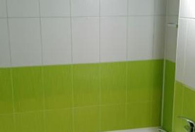 Apartament cu 3 camere decomandat în Malu Roșu - 8