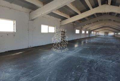 Spațiu industrial, de 3,400 mp, în Livezile - 5
