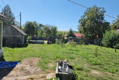 Casă cu Teren 1500 Mp în Grecești - 1