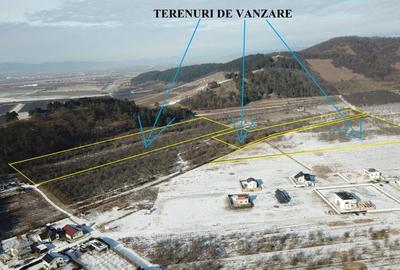 Teren Construcții extravilan de 89800 mp, în Sânpetru - 8
