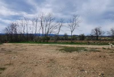 Teren de 26500 mp, în Calea Caransebeșului