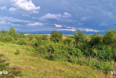 Teren de 1000 mp, în Roșia