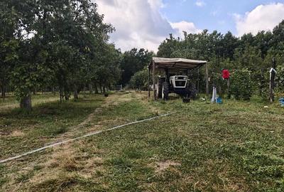 Casă cu Teren 6000 Mp în Bunești (Cotmeana)