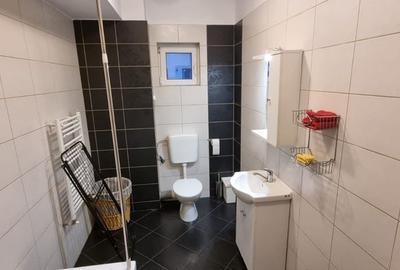 Apartament cu 2 camere decomandat în Roșu