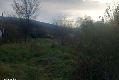 Teren de 9500 mp, în Remetea