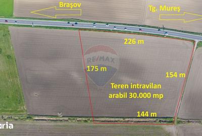 Teren de 30000 mp, în Hălchiu - 11