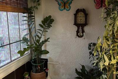 Apartament cu 2 camere decomandat în Pantelimon - 2