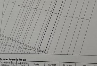 Teren în Central - 1
