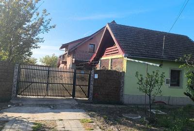 Casă cu 7 camere cu Teren 2118 Mp în Cenad - 16