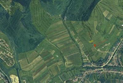 Teren de 2500 mp, în Hamba - 4