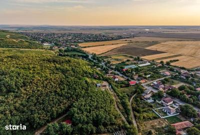 Teren de 1150 mp, în Miniș