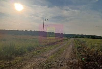 Spațiu comercial, în Săbăreni
