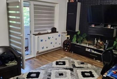 Apartament cu 3 camere în Paltiniș - 8