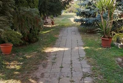 Casă cu 4 camere cu Teren 1560 Mp în Mișca