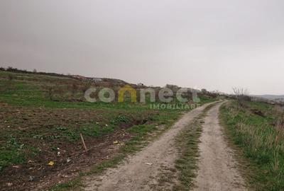 Teren Construcții intravilan de 1870 mp, în Mărăști - 6