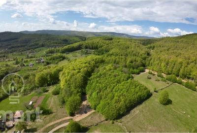 Teren Construcții intravilan de 13700 mp, în Săcădat - 3