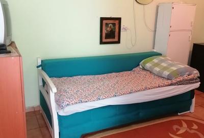 Apartament nedecomandat în Lotrioara - 5