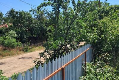 Casă cu 3 camere cu Teren 1150 Mp în Tămădău Mare - 6