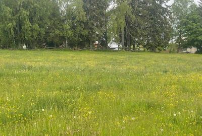 Teren de 1000 mp, în Beliș - 2