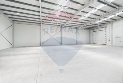 Spațiu industrial, de 580 mp, în Chiajna - 4